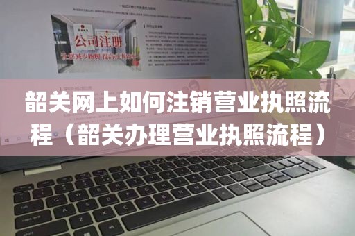 韶关网上如何注销营业执照流程（韶关办理营业执照流程）